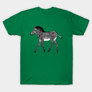 Zebra foal - ink illustration T-Shirt